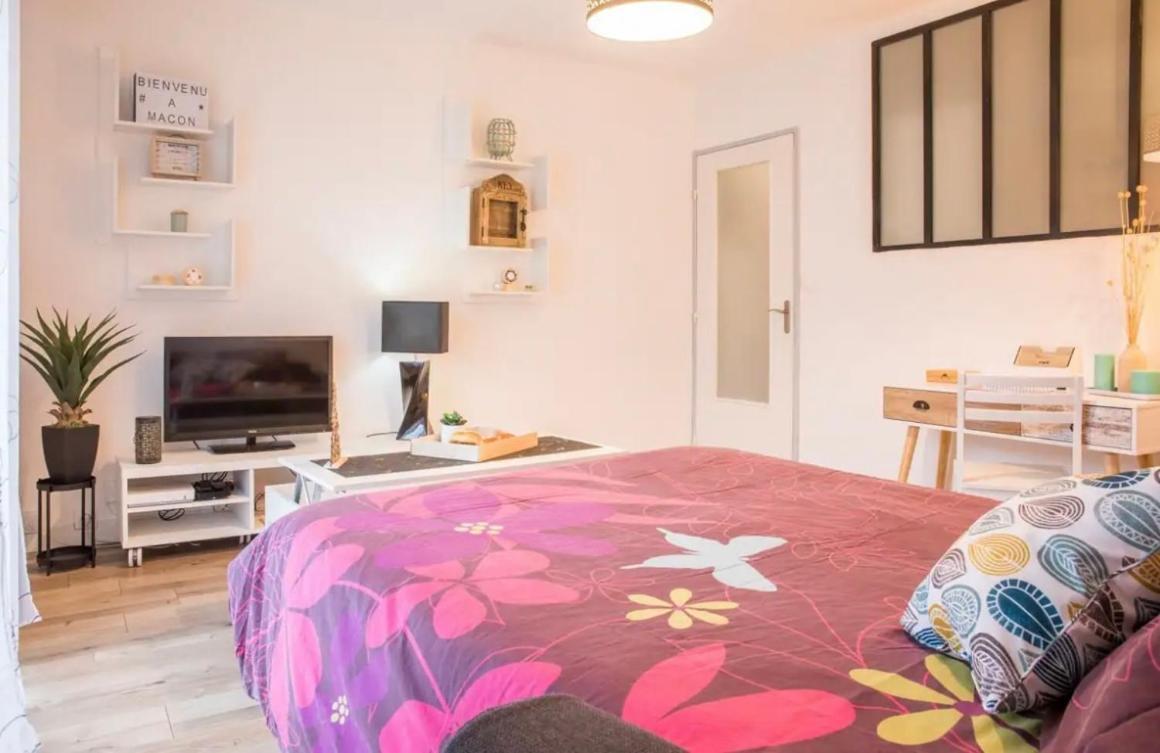 Charmant Appartement T1 Mâcon Zewnętrze zdjęcie